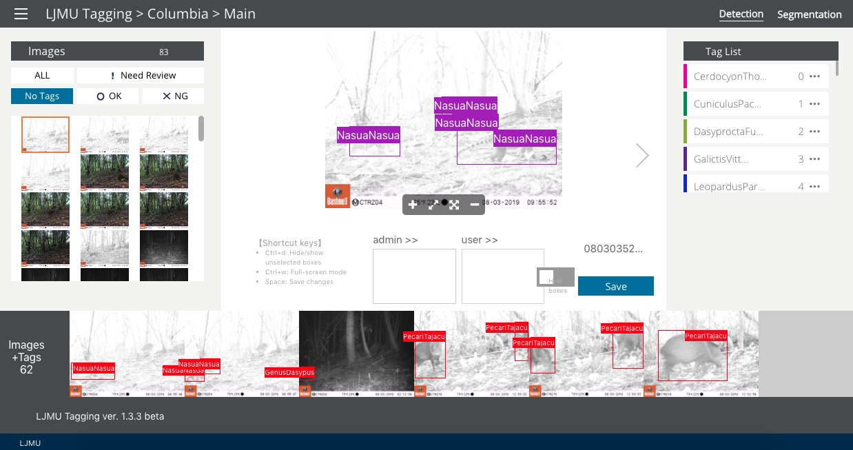 Tags used for multiple animals in an image.