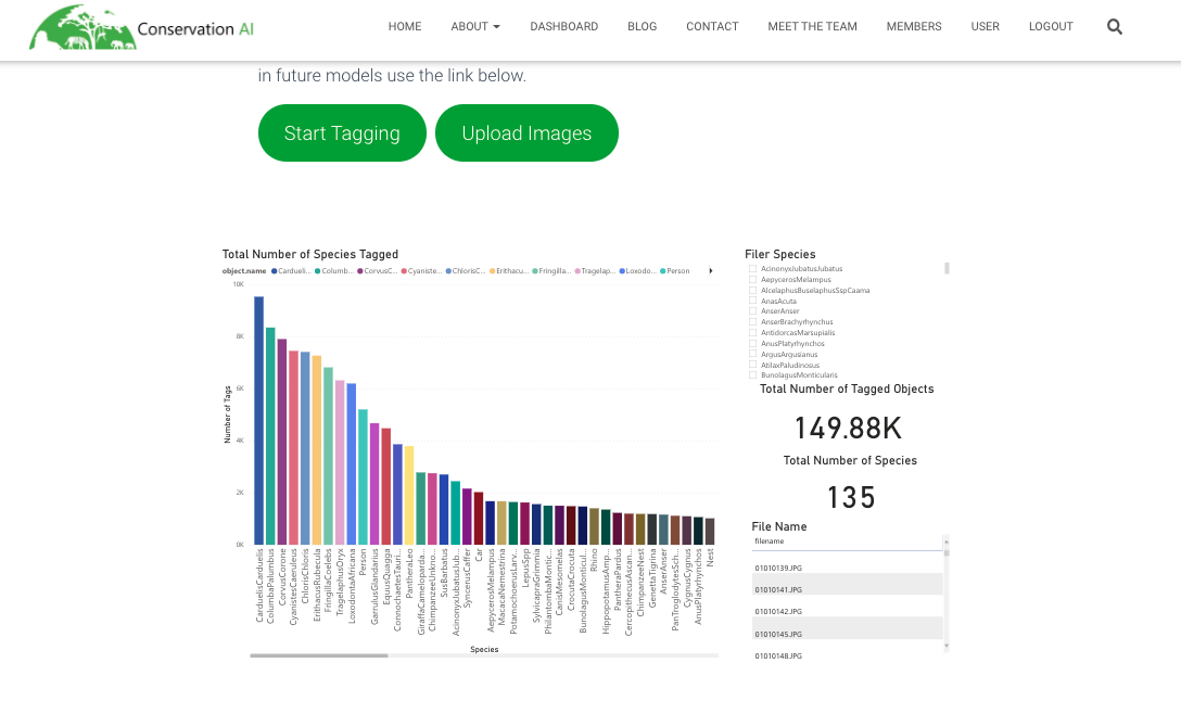 Report of species tagged within Conservation AI and number of tags per species.