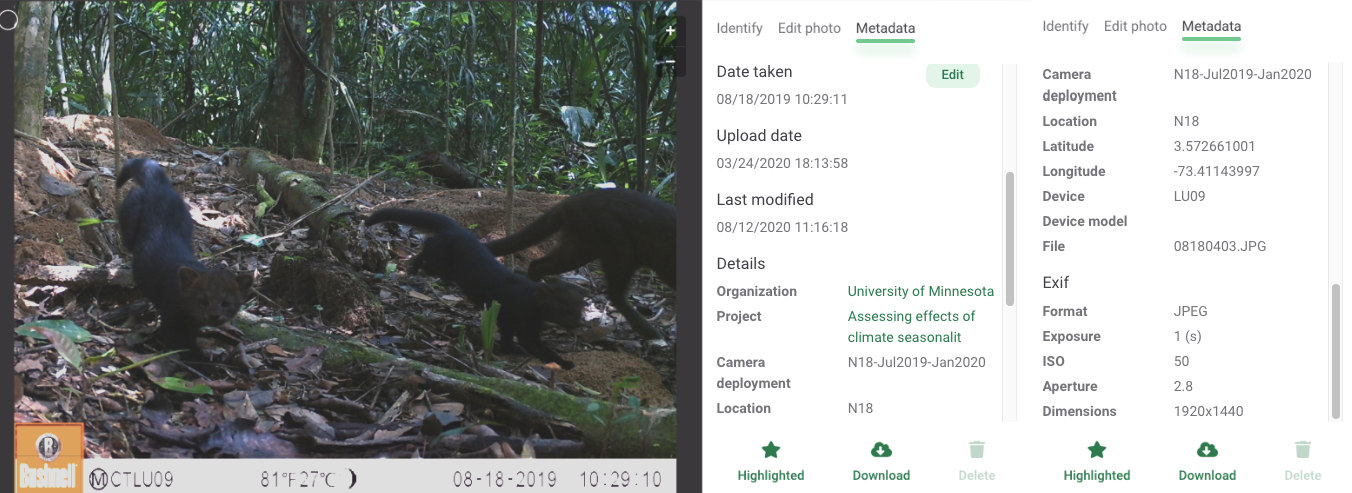 Image metadata displayed after uploading an image to Wildlife Insights online platform.